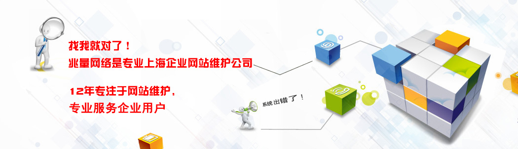 網(wǎng)站維護(hù)，企業(yè)網(wǎng)站維護(hù)，上海網(wǎng)站維護(hù)公司